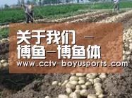 种植基地七(图1)