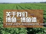 种植基地五