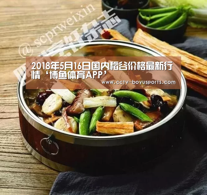 官方应用