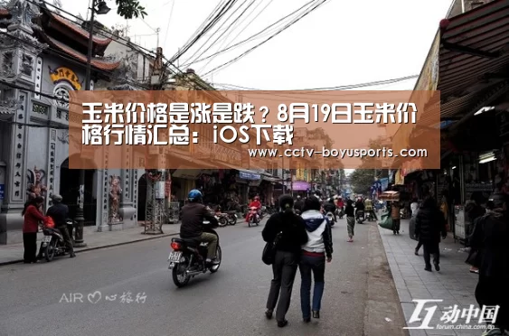 玉米价格是涨是跌?8月19日玉米价格行情汇总:iOS下载(图1) 博鱼体育APP